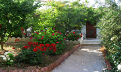 sunrise apartments yard room 1